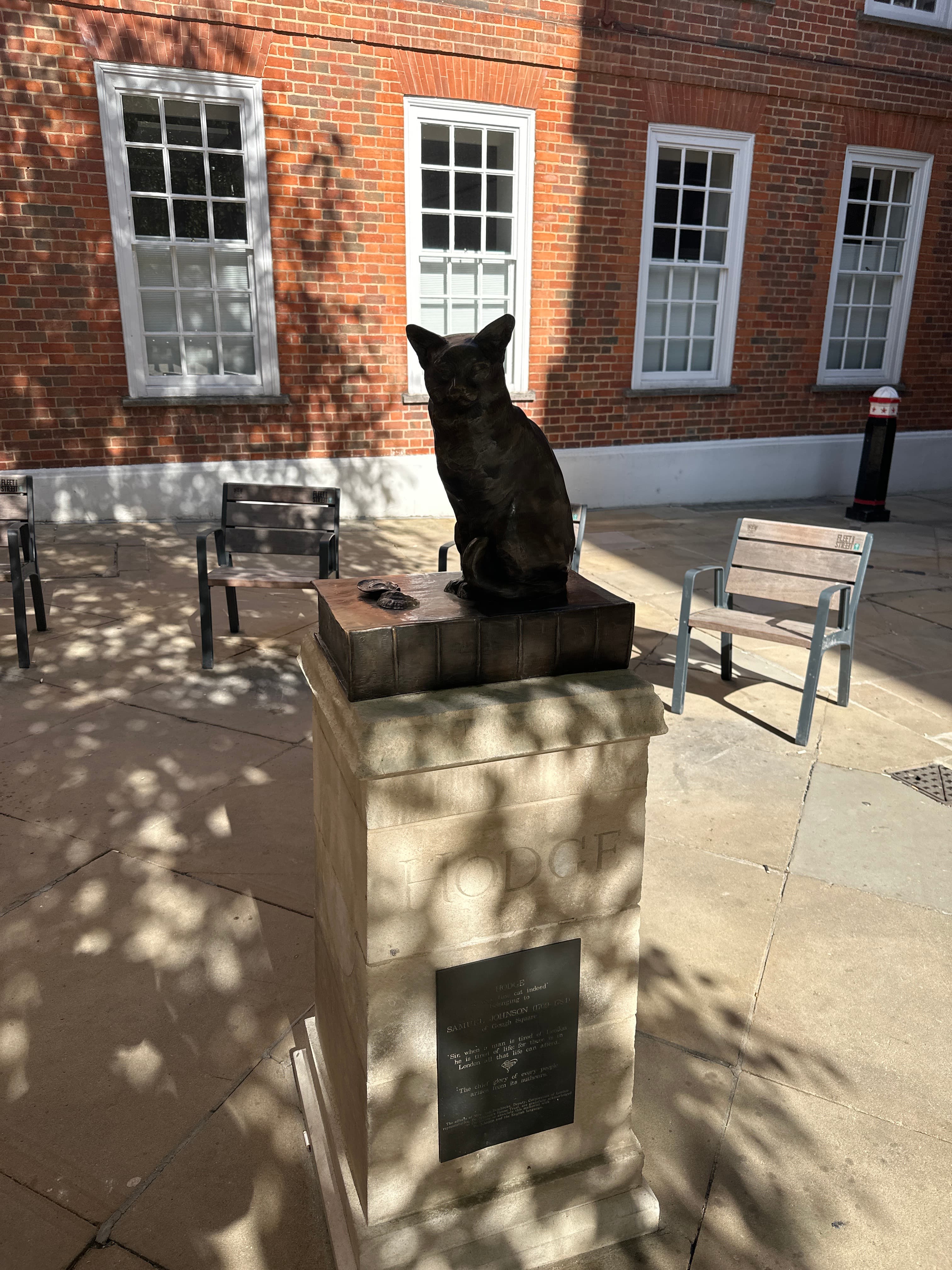 Hodge the Cat