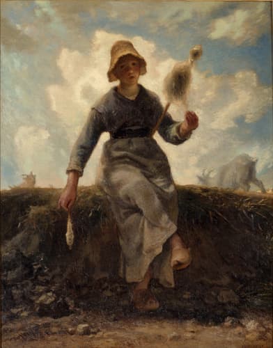 The Spinner