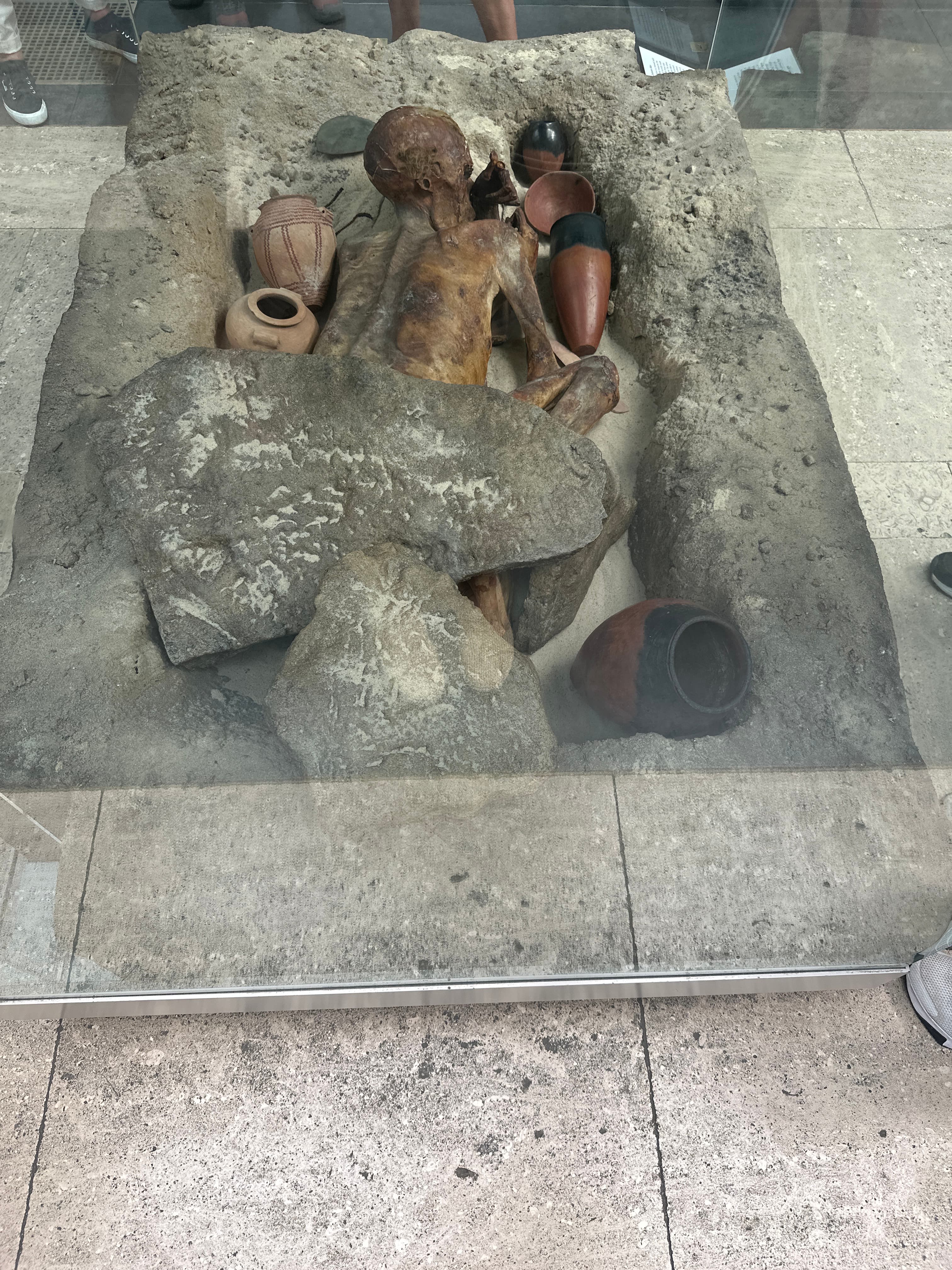 Egyptian Mummy