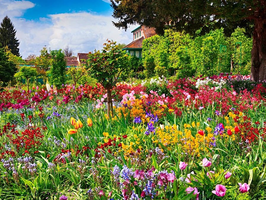 Monet’s Gardens : Immersive Impressionism