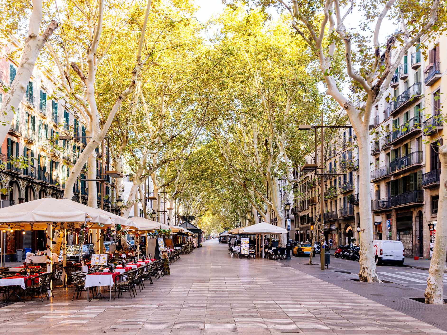 Stories from the Gothic Quarter